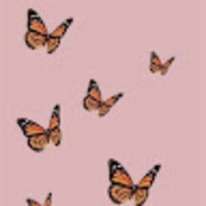 Meet your Posher, Laurence